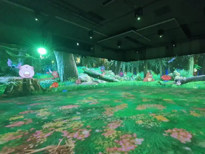 Edge Blending Processor Cases: Multi-Projector Video Display