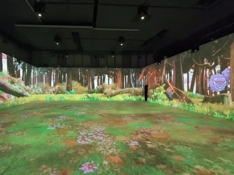 Edge Blending Processor Cases: Multi-Projector Video Display