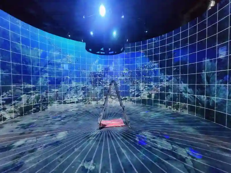 Edge Blending Processor Cases: Multi-Projector Video Display