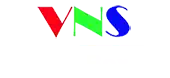 VNS INC.